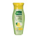 Шампунь Ватика против перхоти, 200 мл, Дабур / Vatika Naturals Dandruff Guard, Dabur