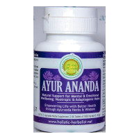Аюр Ананда / Ayur Ananda, Holistic Herbalist, 60 таб.