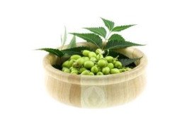 Ним - застосування в аюрведі Ним - застосування в аюрведі