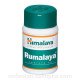 Румалая / Rumalaya - укрепление опорно-двигательной системы организма