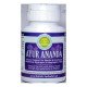 Аюр Ананда / Ayur Ananda, Holistic Herbalist, 60 таб.