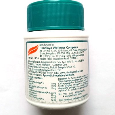 Газекс Himalaya, 100 таб.
